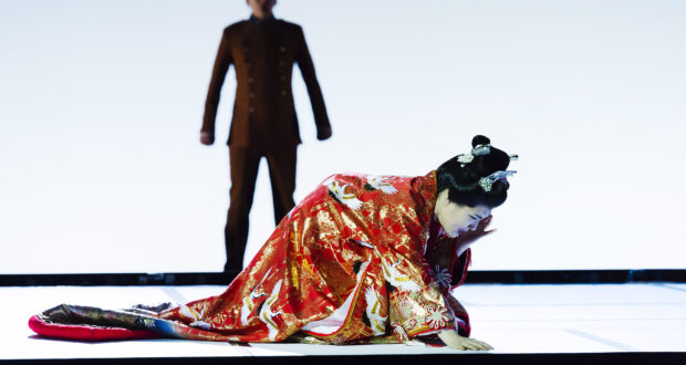 Leipzig: Blühfreudige „Madame Butterfly“